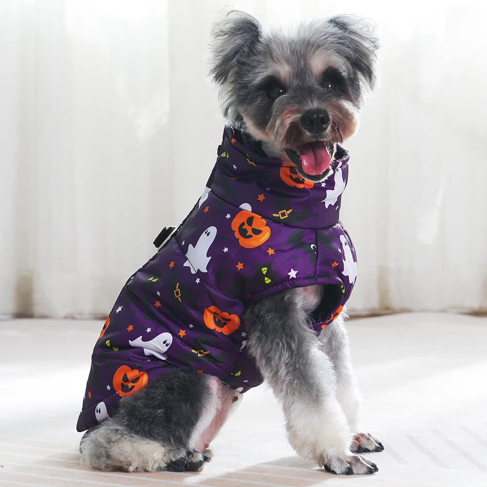 Veste Halloween Chien - Costume Festif Deux Pattes pour Petit et Moyen Chien