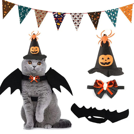 Costume Halloween Chat - Ailes de Chauve-Souris, Chapeau et Collier - Set Complet