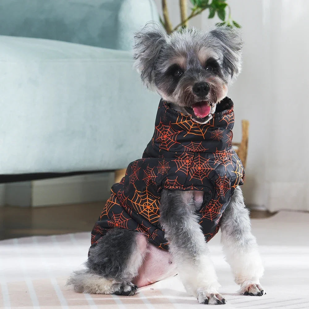 Veste Halloween Chien - Costume Festif Deux Pattes pour Petit et Moyen Chien