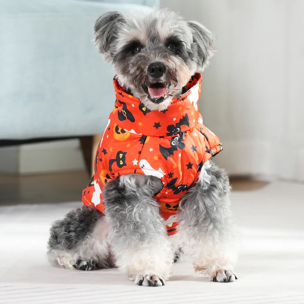 Veste Halloween Chien - Costume Festif Deux Pattes pour Petit et Moyen Chien
