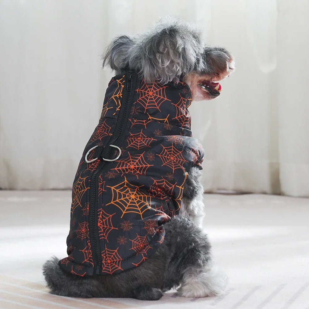Veste Halloween Chien - Costume Festif Deux Pattes pour Petit et Moyen Chien