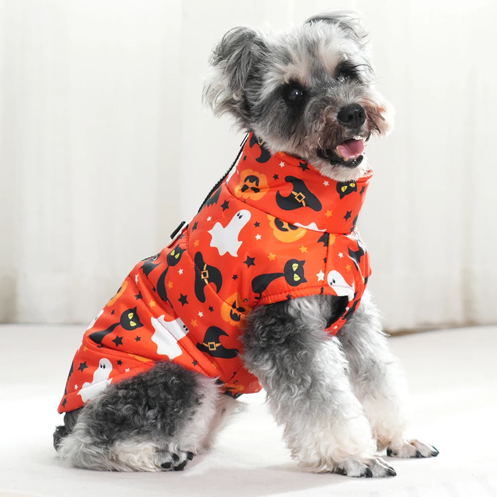 Veste Halloween Chien - Costume Festif Deux Pattes pour Petit et Moyen Chien